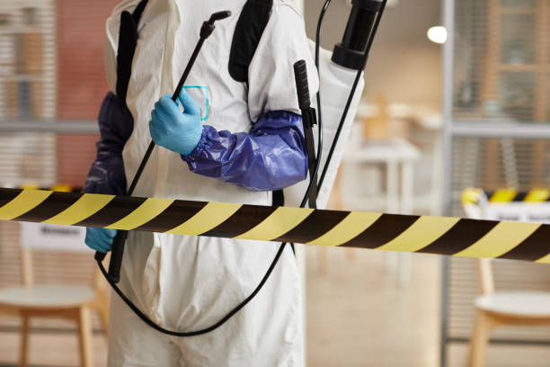 Professional Sewage Cleanup technician working in Salter Path, NC